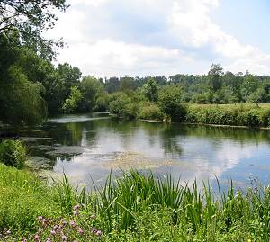 Vallée de la Charente