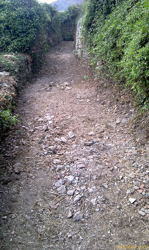Chemin menant au lavoir en aot 2015
