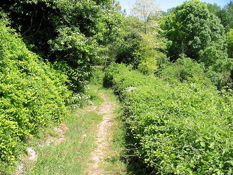Chemin menant au lavoir en mai 2015