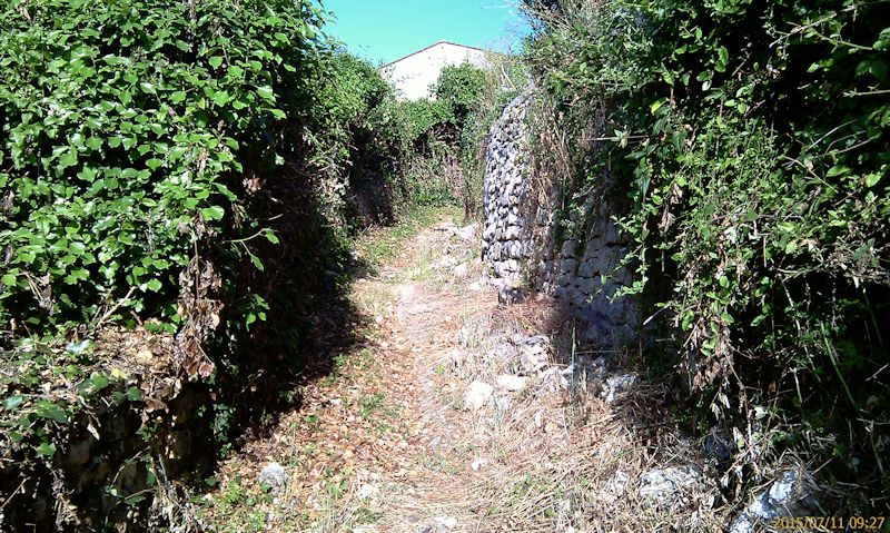 Chemin menant au lavoir en juillet 2015