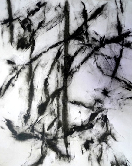 Arbres...