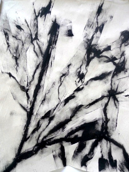 Arbres...