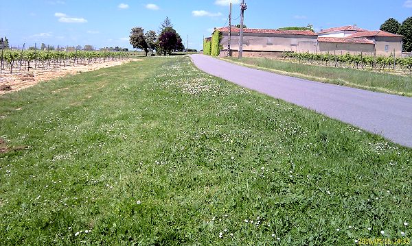 Route de St-Trojan