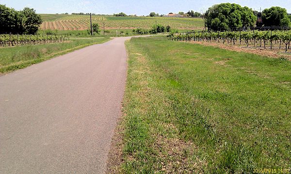 Route de St-Trojan