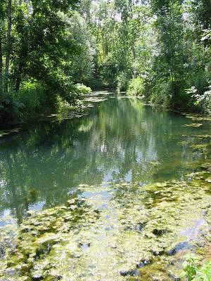 Marais de St Trojan